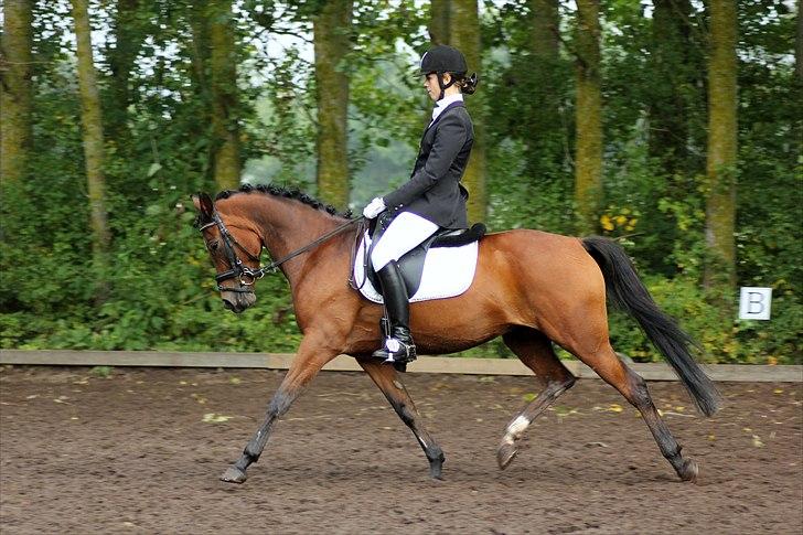 Anden særlig race Wi Linnea billede 17