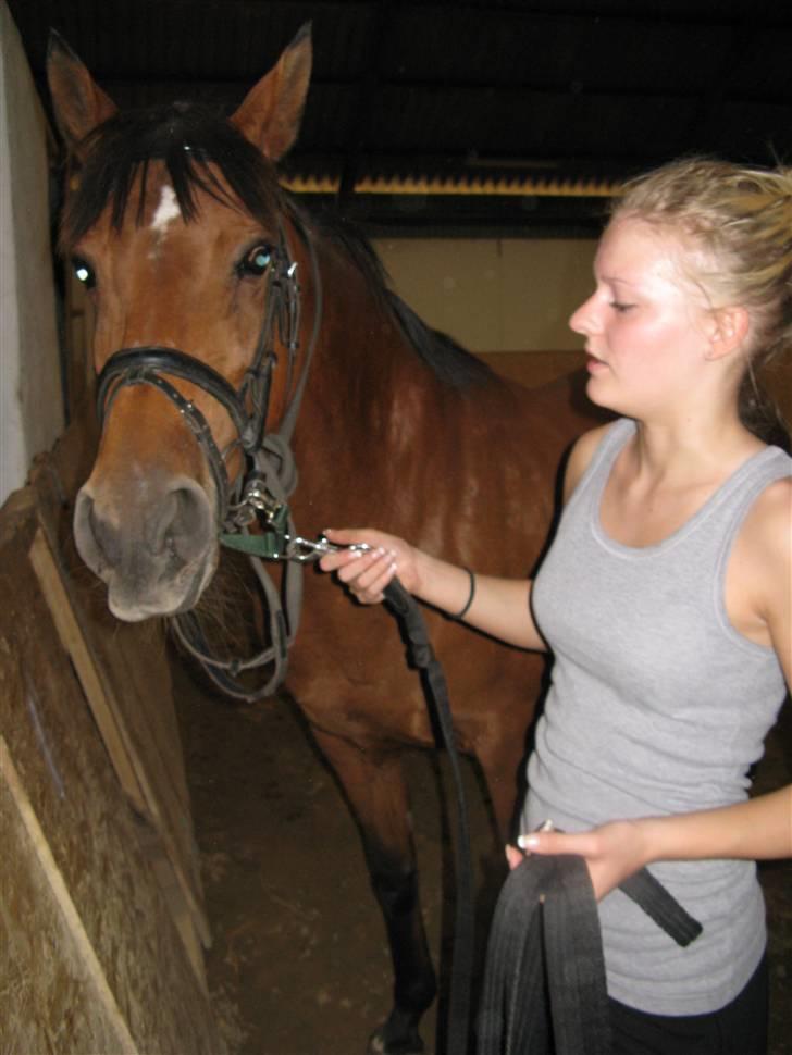 DSP Miranda <3 - aflivet :'( billede 2