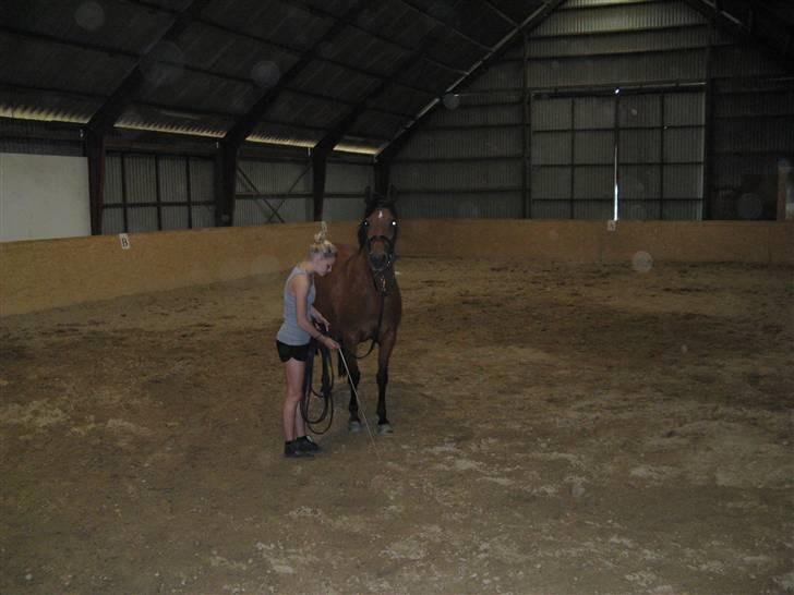 DSP Miranda <3 - aflivet :'( billede 5