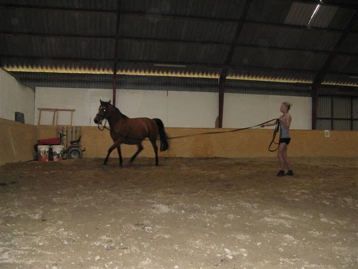 DSP Miranda <3 - aflivet :'( billede 6