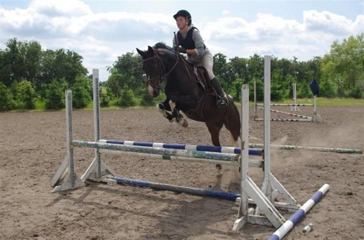 Pinto titana - kusus i hammerum. titana sys den week var rigtig sjov :D billede 7