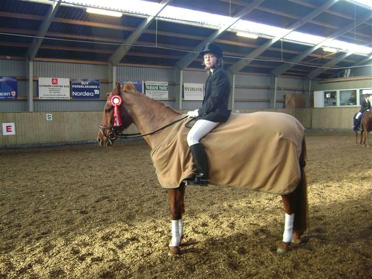 Anden særlig race Picasso - vi har skam også vundet noget, dygtige picasso <333 billede 10