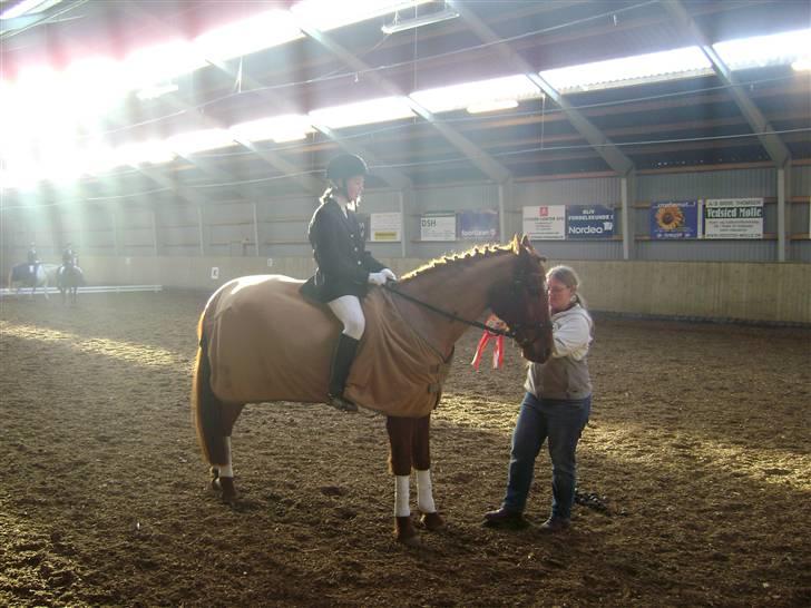 Anden særlig race Picasso billede 11