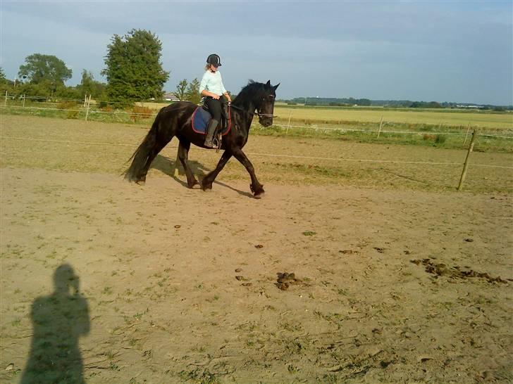 Frieser Mara (Tilred) - miig og mara:) billede 3