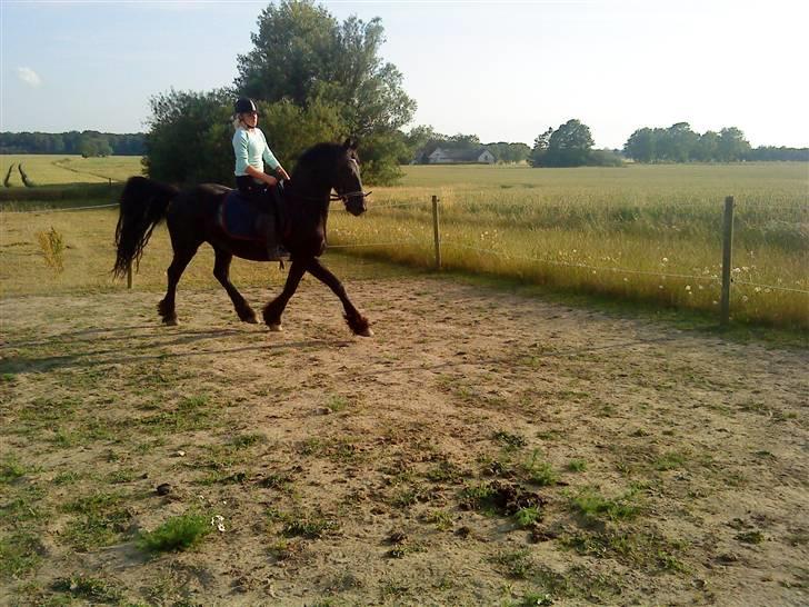 Frieser Mara (Tilred) - du er virkelig blevet god tøzz´ billede 4