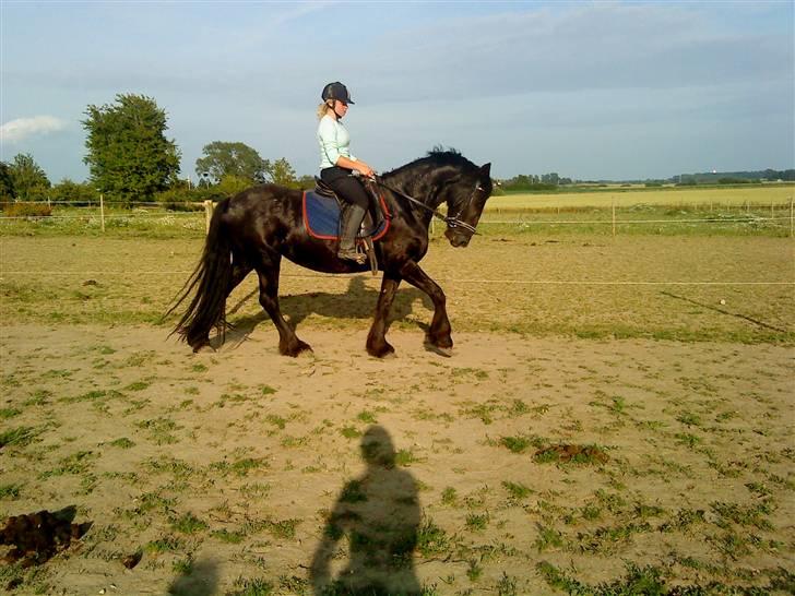 Frieser Mara (Tilred) - miig og mara:) :* billede 5