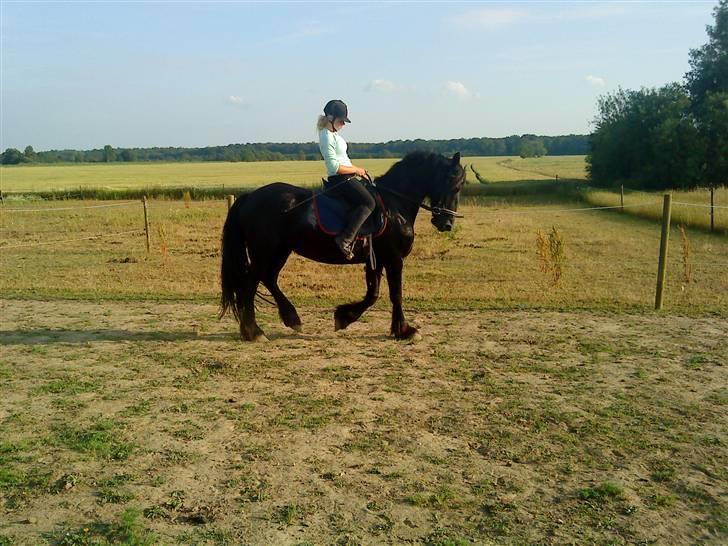 Frieser Mara (Tilred) billede 6