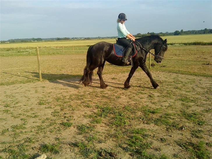 Frieser Mara (Tilred) - miig og mara:) billede 7