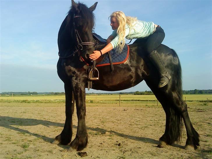 Frieser Mara (Tilred) - sidder lige på røven:) org så ville hun lige hilse på:) billede 8