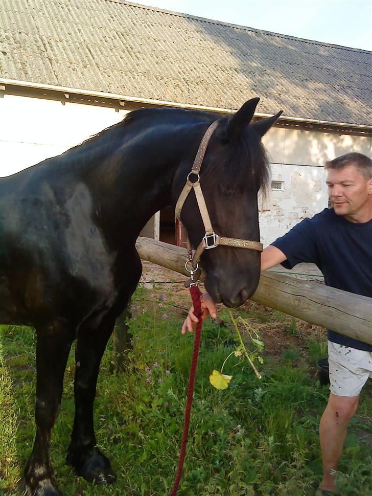 Frieser Mara (Tilred) - jan i baggrunden hah:) billede 11