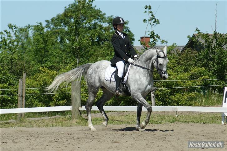 Anden særlig race Kes-esmee *Kiksen*~Solgt billede 9