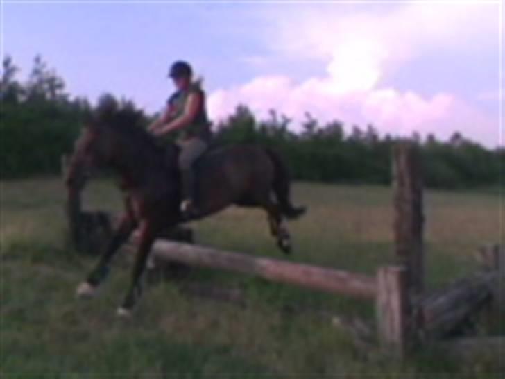 Anden særlig race Maroco Die Granx´s..SOLGT - Mally og jeg springer i; Foto: Frederieke billede 20