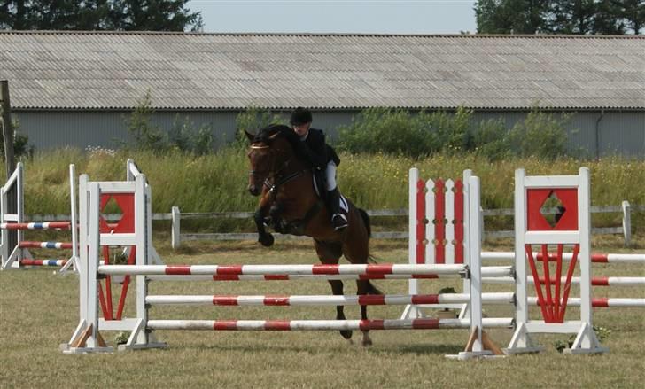 Belgisk Sportspony Hahiti (solgt) - LB Skive. Foto: Nadiiih billede 15