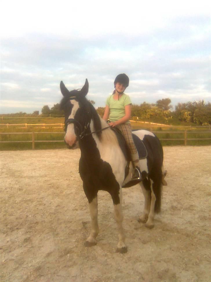 Anden særlig race Snoopy - Solgt&Savnet! <3 - 14)  billede 14