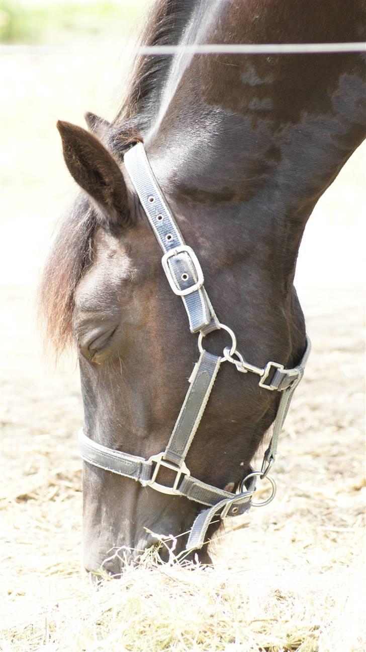 Anden særlig race Gucci R.I.P. HBP<3 - Du var sur på alle - undtagen mig og min familie. billede 10