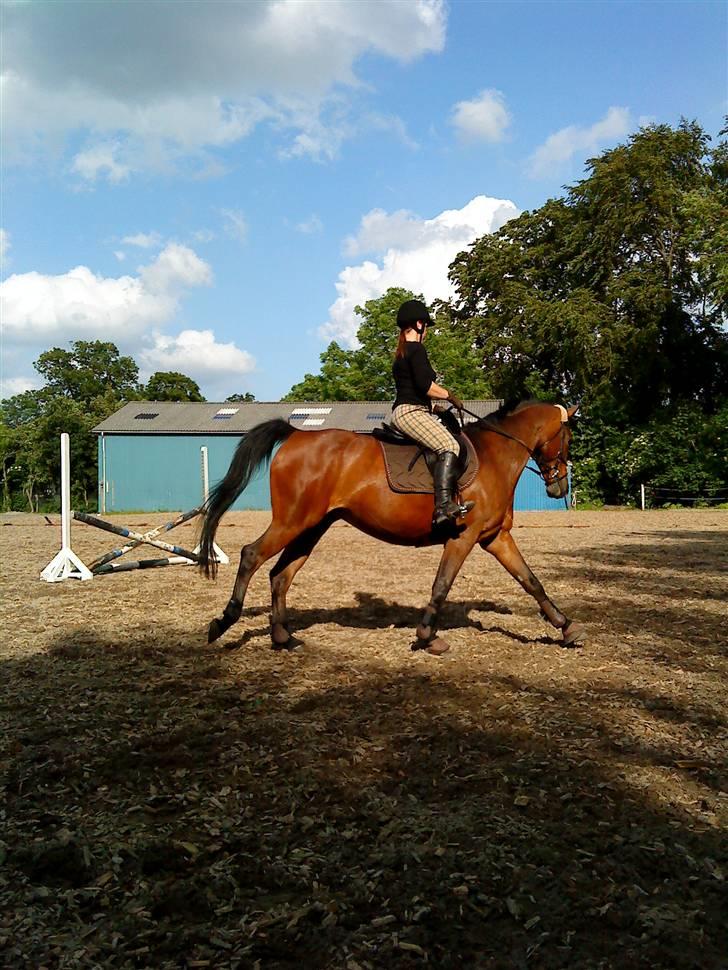 Anden særlig race Daisy Duke SOLGT - 02: Daisy og jeg under opvarmning til lidt springning. :) Fotograf: Sabina billede 2
