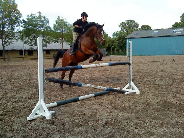 Anden særlig race Daisy Duke SOLGT - 05: Daisy og jeg sætter vores rekord: 1,10 meter :D Bemærk, dette er 3. gang jeg springer på hende :D Fotograf: Sabina billede 5