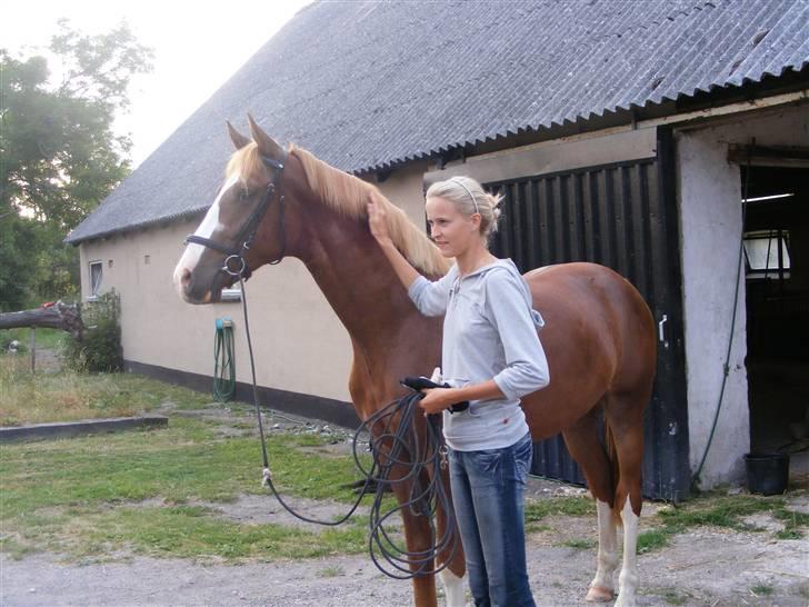 Hollandsk Varmblod Calvin - Mig og Calvin :D billede 9