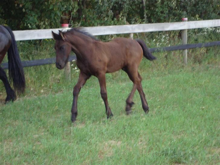 Frieser Elske  :) - Er vi ikke snart færdigt med det her????? ØV billede 16