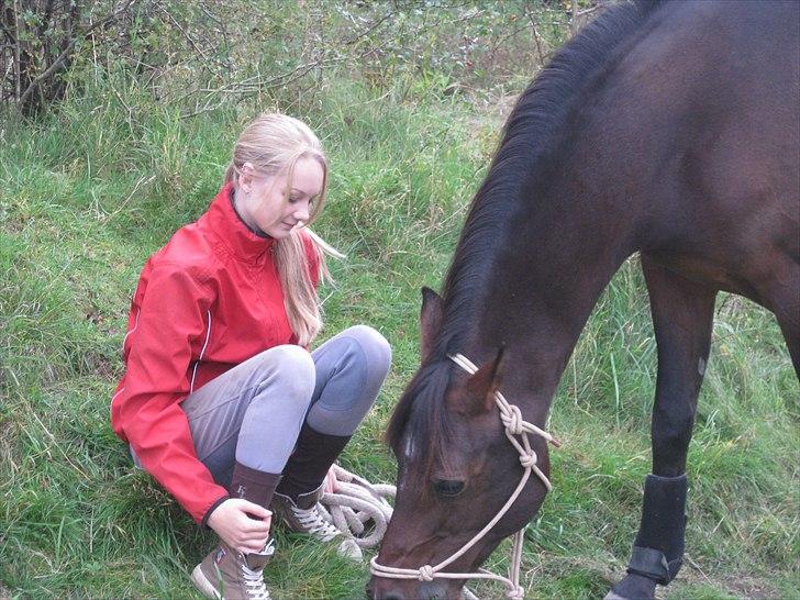 Arabisk fuldblod (OX) Al Fatah SOLGT - med dig kan jeg være mig selv.. min bedste ven.<33 Foto: Anna Vium <3 billede 3