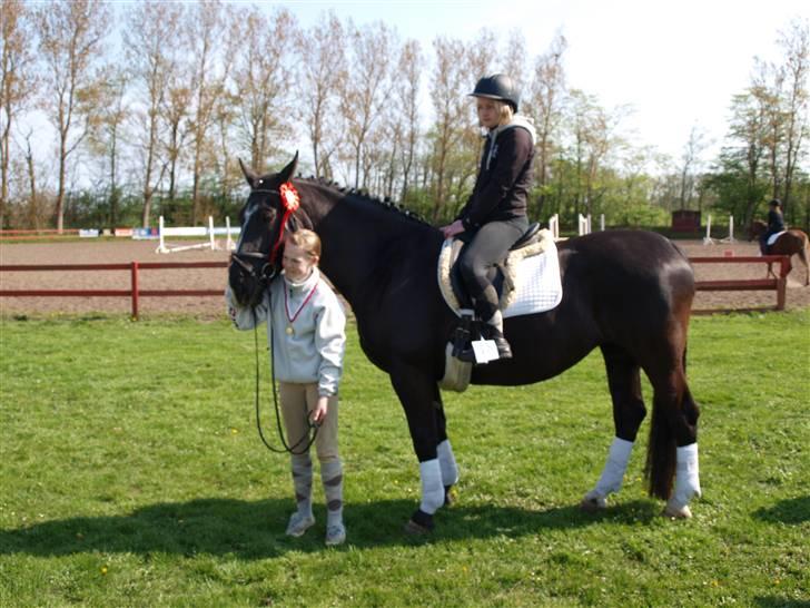 Oldenborg Eloise (solgt) - Hendes første stævne 1 plads! Den stolte mia og Elo piigen <3 billede 17