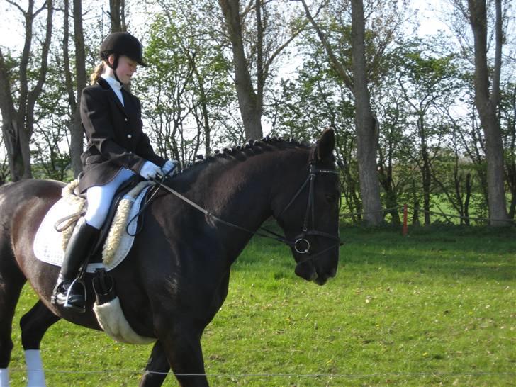 Oldenborg Eloise (solgt) - Opvarmning inden vi skal på banen ;) billede 19