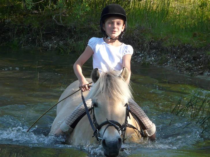 Fjordhest mussepigen - Velkomme til Muller's profil --.--' billede 1