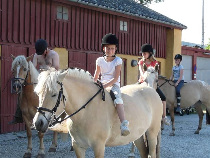 Fjordhest mussepigen - Snart er det badetur --.--'
 billede 5