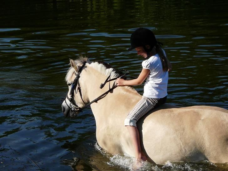 Fjordhest mussepigen - Jahh BADETUR --.--' billede 6