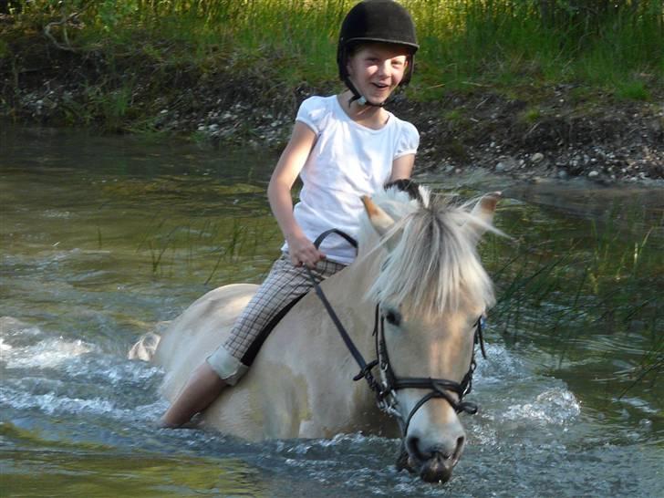 Fjordhest mussepigen - Nej nej Muller, bliv i vandet, det er så dejligt klodt --.--' billede 7