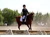Welsh Pony (sec B) Nancy *Min bedste ven*