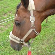 Anden særlig race Chazell <3 [Gammel Part]