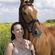 Fuldblod (XX) Heel's Jumperxx