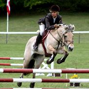 Fjordhest | Trine | solgt |