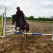 Anden særlig race jasmin *Gamle part*