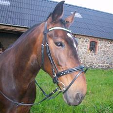 Oldenborg yasmin.. R.I.P