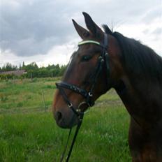 Oldenborg yasmin.. R.I.P