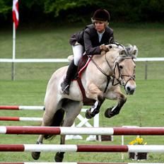 Fjordhest | Trine | solgt |