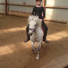 Anden særlig race Nunu