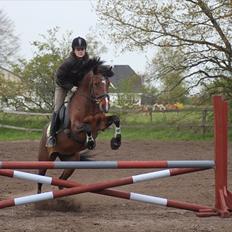 Anden særlig race Tatianna -drømmeponyen!