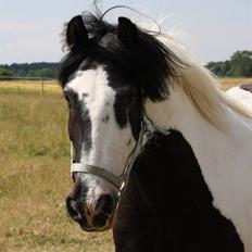 Tinker Samson *RIP* d. 21\8 09