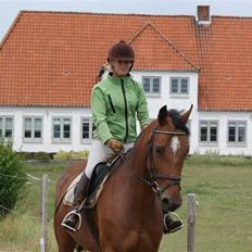 Anden særlig race Chayenne