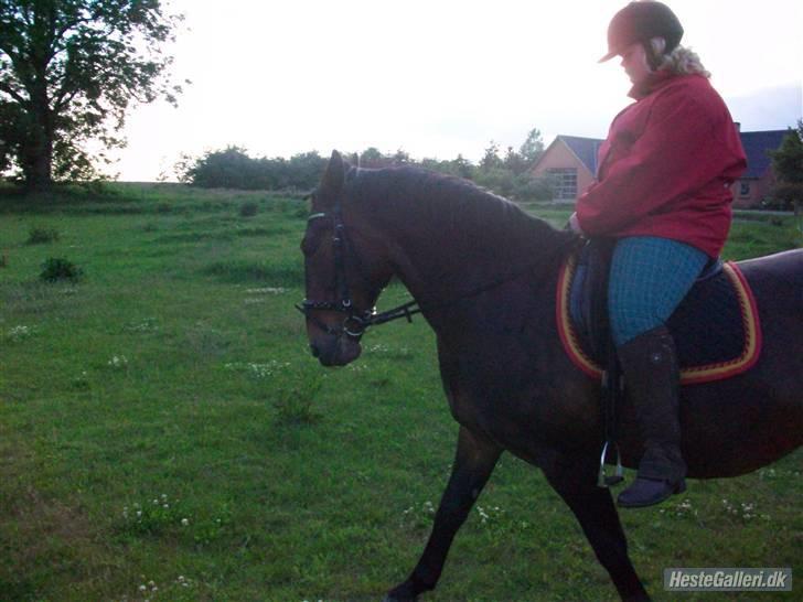 Oldenborg yasmin.. R.I.P billede 4