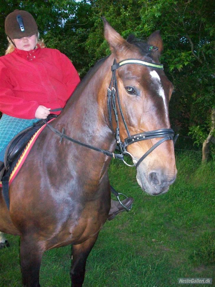 Oldenborg yasmin.. R.I.P billede 5