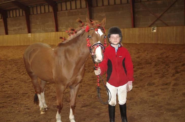 Hollandsk Sportspony Rosa R.I.P † <33 - mig og rosa gør os klar til strigle stævne (: billede 16