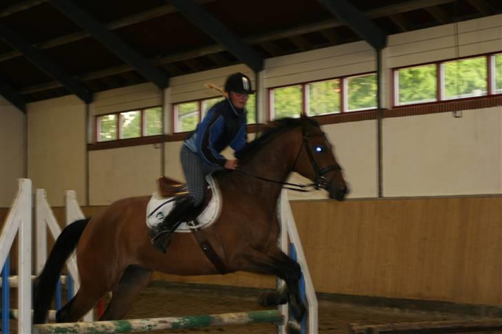 Dansk Varmblod Boulou - aller første gan jeg sprang på hende. . det skal lige siges jeg havde lige været til spring undervisning på en fjordhest 2 timer før. så skulle lige vænne mig til hende:D billede 9