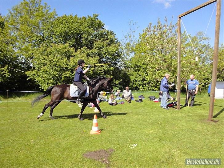 New Forest krondalens alymet  - 12)ringridning til hodsager byfest foto:karoline;D billede 12