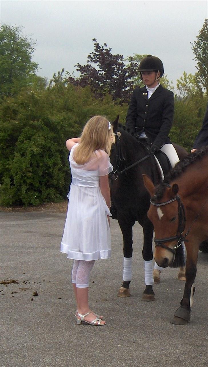 New Forest krondalens alymet  - 14)alymet blir´ nusset af mig til min konfi 2009 foto mormor billede 14