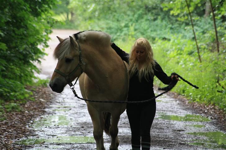 Fjordhest Bonto<3 R.I.P. - 3 # - Os to sammen, vi er noget helt specielt, Bonto jeg elsker dig, jeg si´r det konsekvent, som ting vi laver, gad vide hvor vi ender .. <3 Fotograf: Nadia Jørgensen billede 3