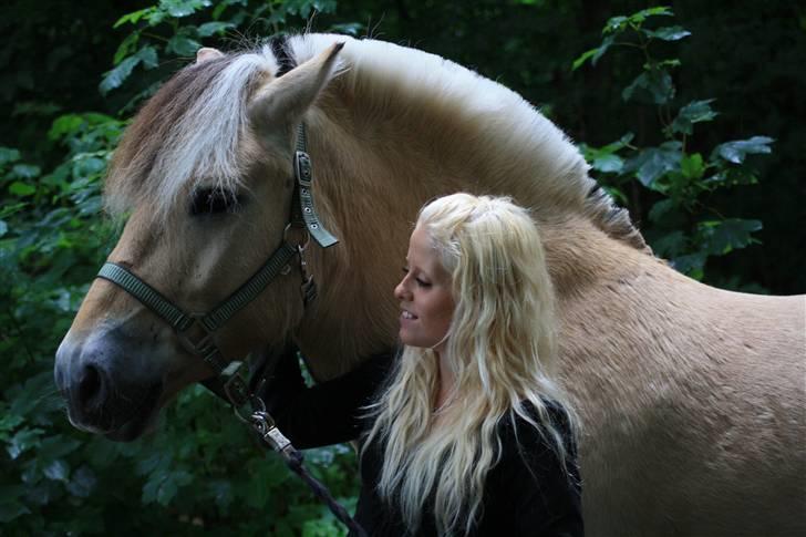 Fjordhest Bonto<3 R.I.P. - 4 # Elsker dig, du betyder alverdens Bonto ! <3 Fotograf: Nadia Jørgensen billede 4